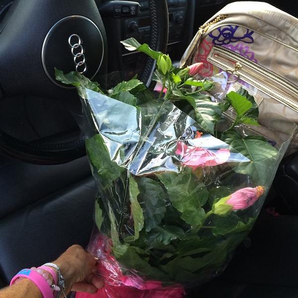 Photo taken at Trader Joe's by LOLA JADE C. on 9/5/2014-美国加利福尼亚州欧申赛德远景路2570 Photo taken at Trader Joe's by LOLA JADE C. on 9/5/2014