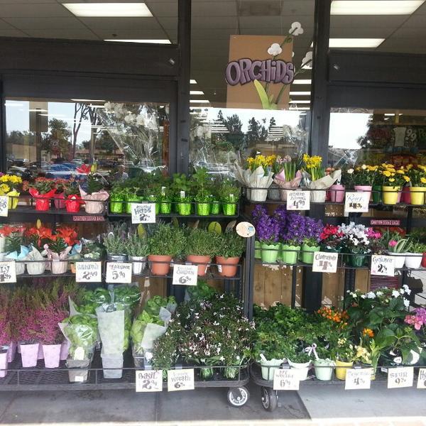 Photo taken at Trader Joe's by Christopher N. on 4/12/2013