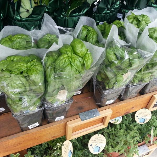 Photo taken at Trader Joe's by Michael J. on 6/13/2013