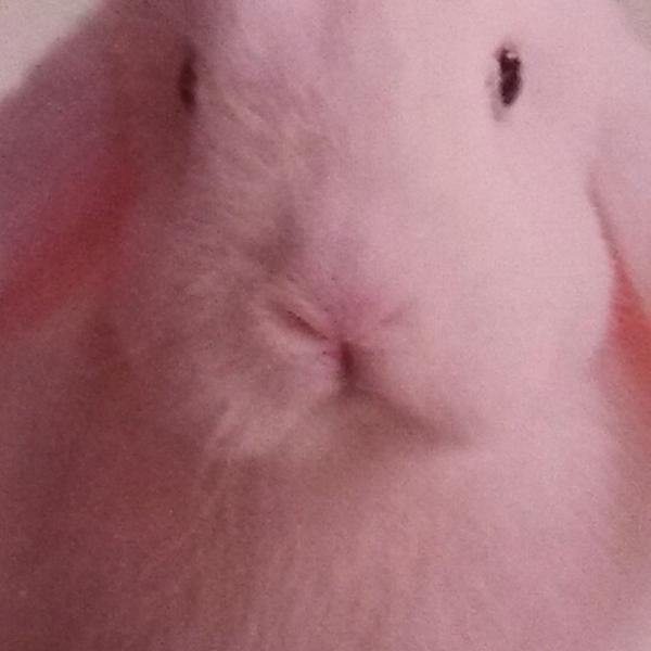 Photo taken at Whole Foods Market by Morgan C. on 4/1/2014-加尼福尼亚蒙特雷德尔蒙特康涅狄格800(在穆拉斯大道) Photo taken at Whole Foods Market by Morgan C. on 4/1/2014