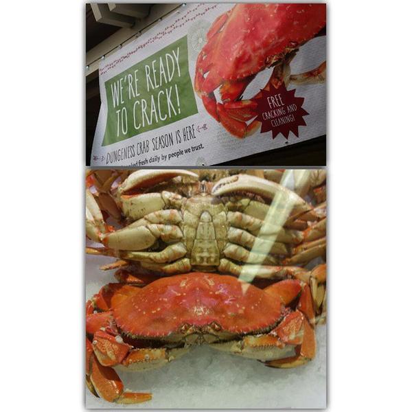 Photo taken at Whole Foods Market by Nathaniel M. on 12/11/2014-加尼福尼亚蒙特雷德尔蒙特康涅狄格800(在穆拉斯大道) Photo taken at Whole Foods Market by Nathaniel M. on 12/11/2014