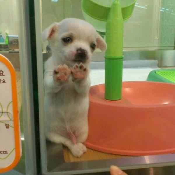 Photo taken at 이마트 트레이더스 (E-Mart Traders) by Roberto Byeongsoo K. on 11/5/2011-大田西区580易买得超市 Photo taken at 이마트 트레이더스 (E-Mart Traders) by Roberto Byeongsoo K. on 11/5/2011