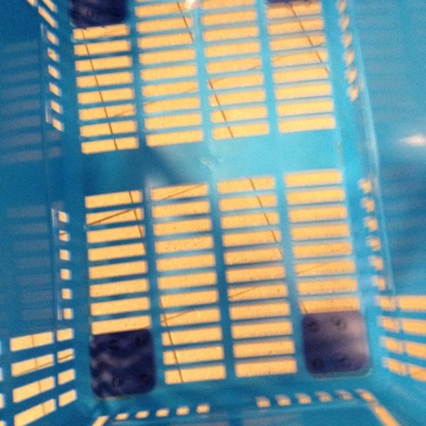 Photo taken at Albert Heijn by Jean-paul S. on 5/7/2012-荷兰南荷兰省弗拉尔丁恩洛佩尔85号 Photo taken at Albert Heijn by Jean-paul S. on 5/7/2012