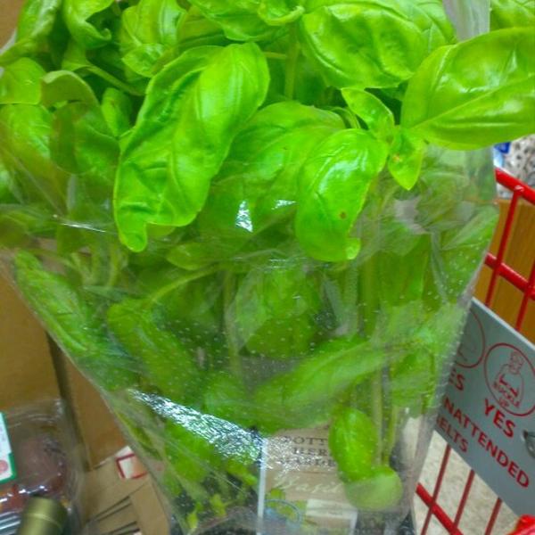 Photo taken at Trader Joe's by Belinda T. on 8/11/2012-内华达州拉斯维加斯华盛顿大道7575号 Photo taken at Trader Joe's by Belinda T. on 8/11/2012