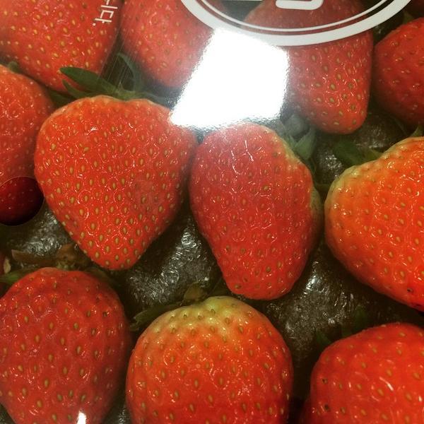 乐天玛特롯데마트 / LOTTE Mart 江原道春川市春川84乐天超市