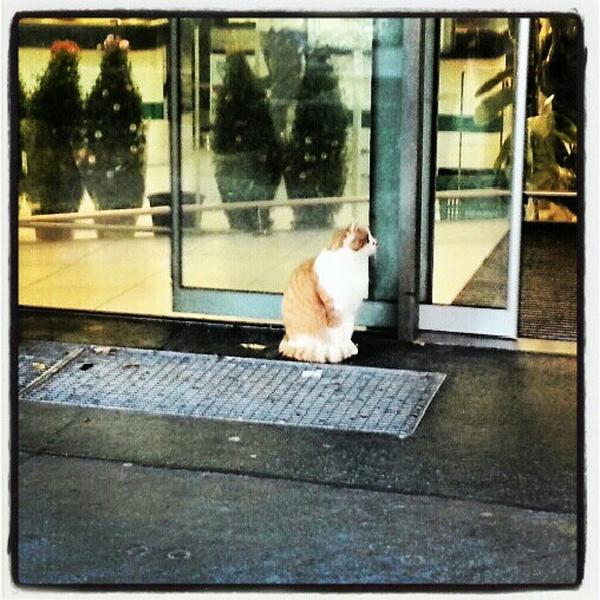 Photo taken at MERKUR by Eaglepowder on 10/3/2012