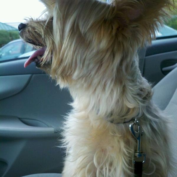 Photo taken at Publix by Neli W. on 10/27/2012