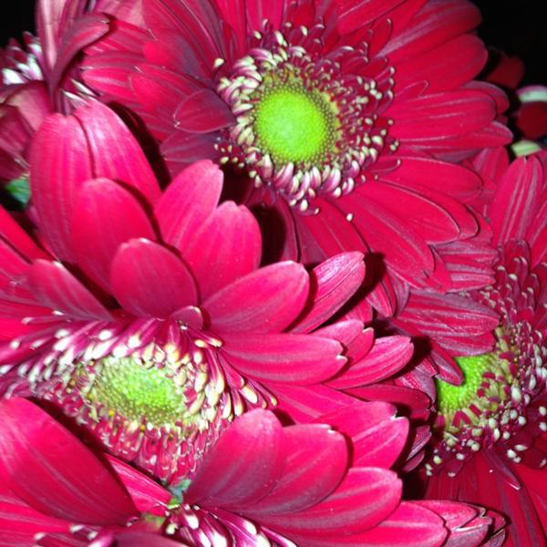 Photo taken at Trader Joe's by John H. on 3/30/2013