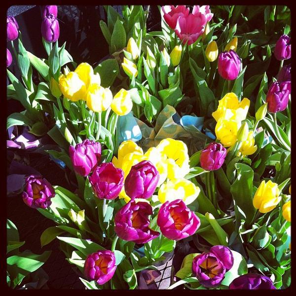 Photo taken at Trader Joe's by gno m. on 3/16/2013-加利福尼亚州长滩贝尔斯登街风铃草大道北2222号 Photo taken at Trader Joe's by gno m. on 3/16/2013