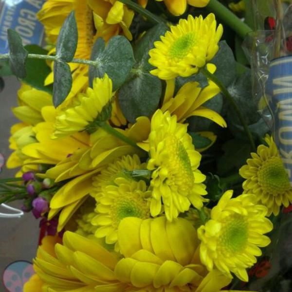 Photo taken at Trader Joe's by Greg W. on 2/19/2012-北卡罗来纳州夏洛特都市大道1133 Photo taken at Trader Joe's by Greg W. on 2/19/2012