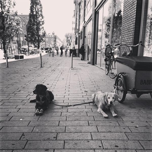 Photo taken at Albert Heijn by Varvara K. on 8/1/2013