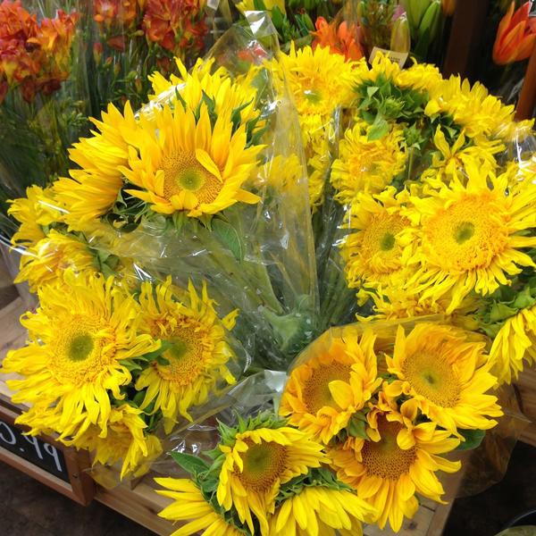 Photo taken at Trader Joe's by Elena S. on 4/26/2013-亚利桑那州凤凰城钱德勒大道4025 Photo taken at Trader Joe's by Elena S. on 4/26/2013