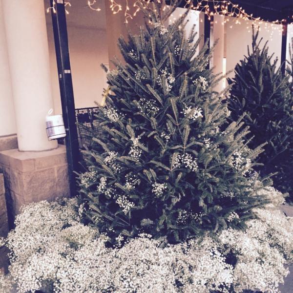 Photo taken at Whole Foods Market by Joel H. on 12/19/2014