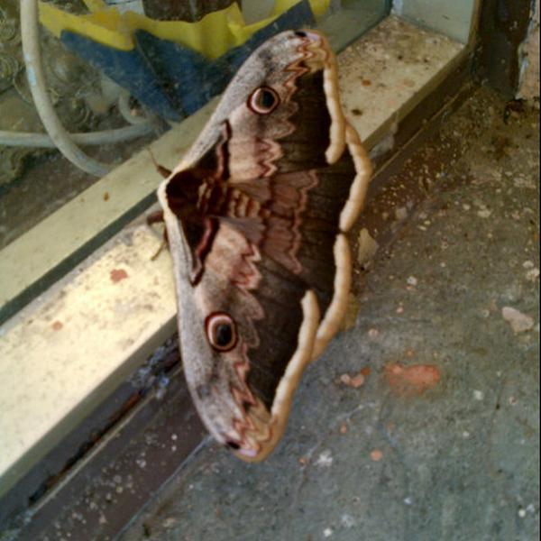 Hofer图片库 Hofer图片库