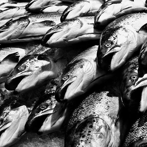 Photo taken at Mercadona by Oriol on 11/16/2012