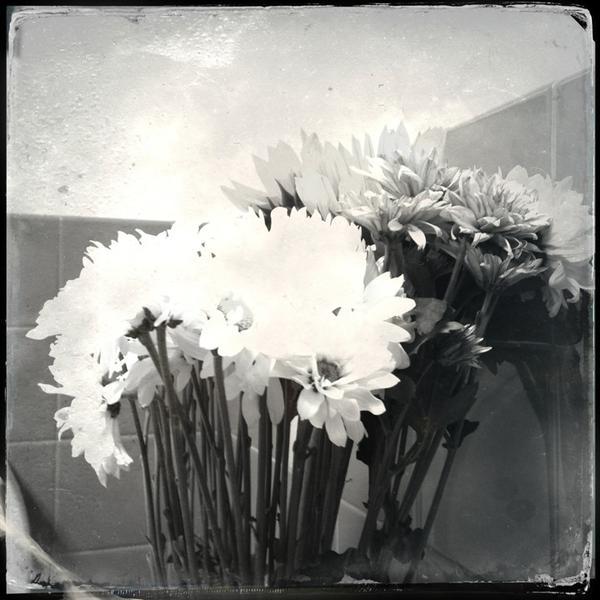 Photo taken at Trader Joe's by Christian C. on 3/23/2013