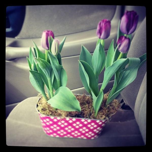 Photo taken at Trader Joe's by Alon B. on 4/17/2014