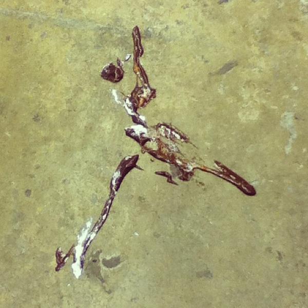 Photo taken at Proxy Delhaize by Marie M. on 10/25/2012