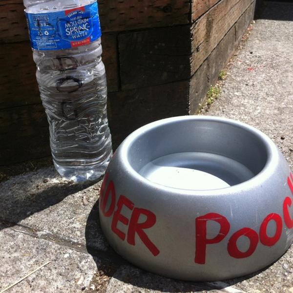 Photo taken at Trader Joe's by Melody B. on 8/5/2012-华盛顿 西雅图年安妮女王大道北1916(西浮雕街) Photo taken at Trader Joe's by Melody B. on 8/5/2012