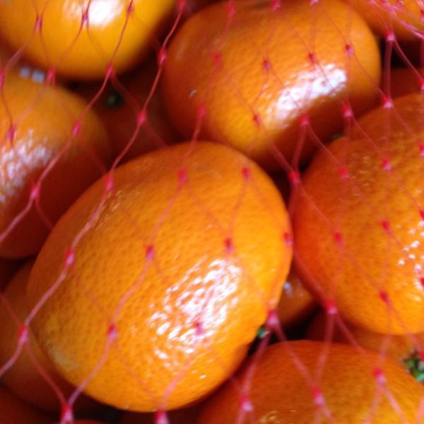 Photo taken at Trader Joe's by Jason B. on 2/20/2013-华盛顿 西雅图年安妮女王大道北1916(西浮雕街) Photo taken at Trader Joe's by Jason B. on 2/20/2013