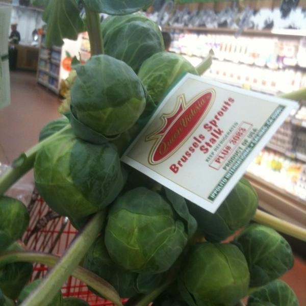Photo taken at Trader Joe's by Amanda I. on 10/27/2011-美国密歇根州罗彻斯特山沃尔顿大道3044 Photo taken at Trader Joe's by Amanda I. on 10/27/2011