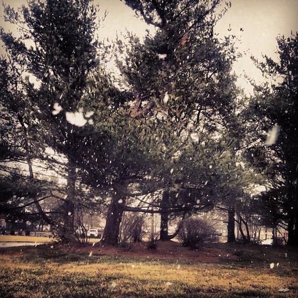 Photo taken at Trader Joe's by Sarah O. on 3/7/2013-美国新泽西州什鲁斯伯里宽广街1031 Photo taken at Trader Joe's by Sarah O. on 3/7/2013