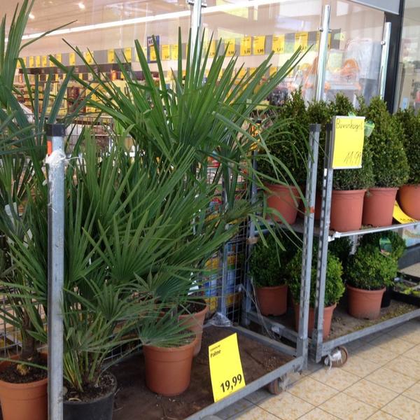 Photo taken at Hofer by Brunold L. on 6/7/2014