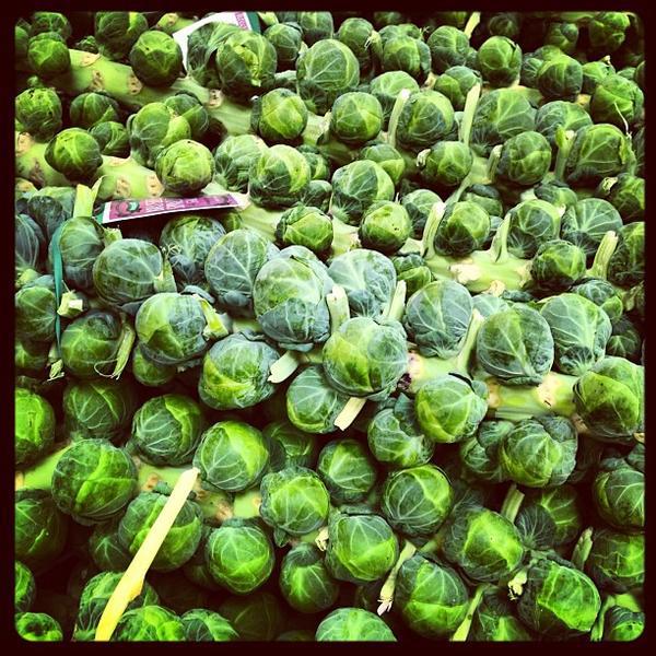 Photo taken at Trader Joe's by Stacey M. on 11/14/2012