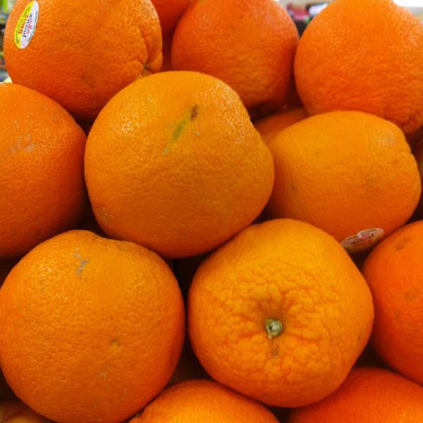 Photo taken at Trader Joe's by Jane O. on 4/26/2013