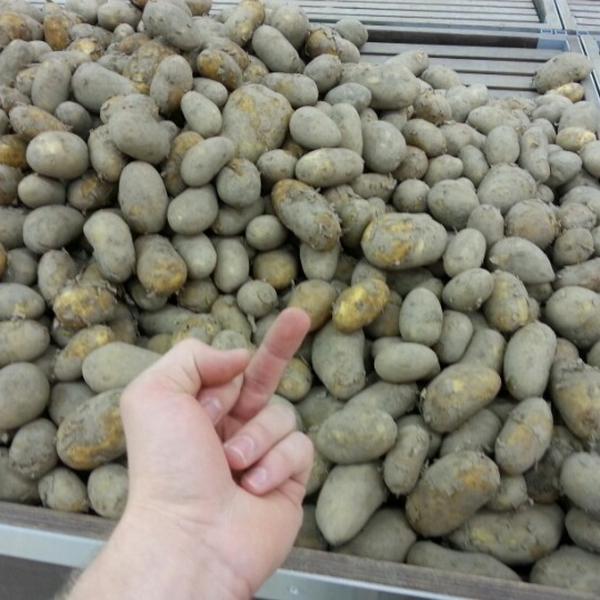 Photo taken at K-citymarket by Visa-Pekka H. on 8/5/2012-西南芬兰区图尔库马裤拉路150 Photo taken at K-citymarket by Visa-Pekka H. on 8/5/2012