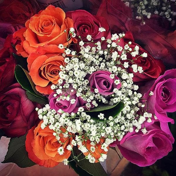 Photo taken at Trader Joe's by Louise M. on 2/5/2015