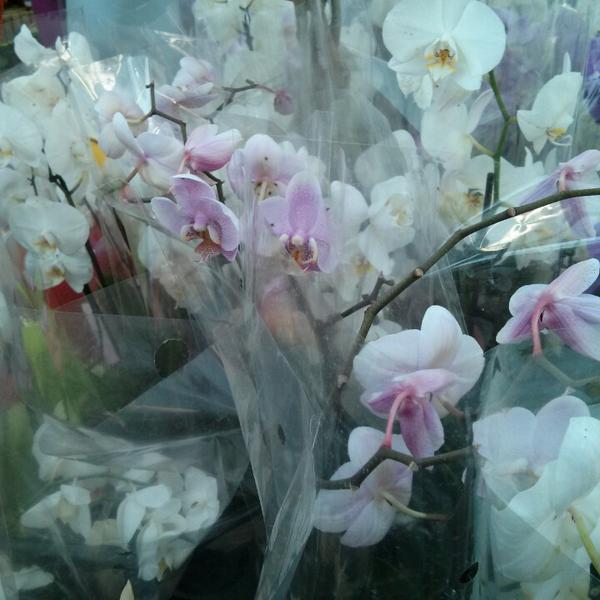 Photo taken at Carrefour by s a. on 6/21/2013