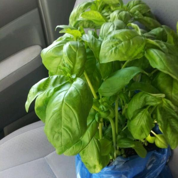 Photo taken at Trader Joe's by Damian W. on 5/28/2012