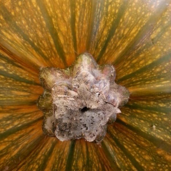 Photo taken at Netto by Soffie R. on 10/13/2012