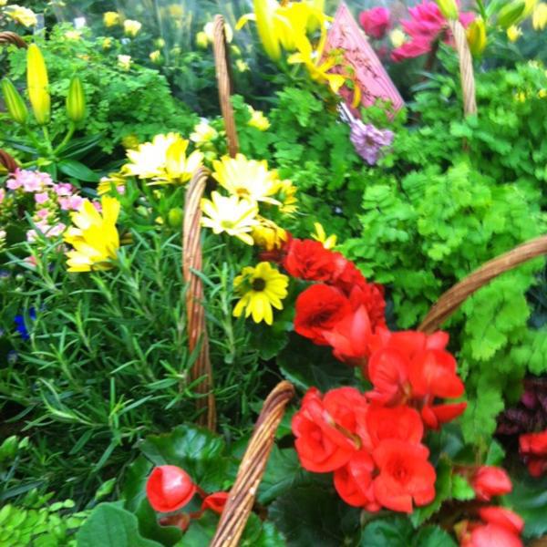 Photo taken at Trader Joe's by Karen D. on 5/11/2012