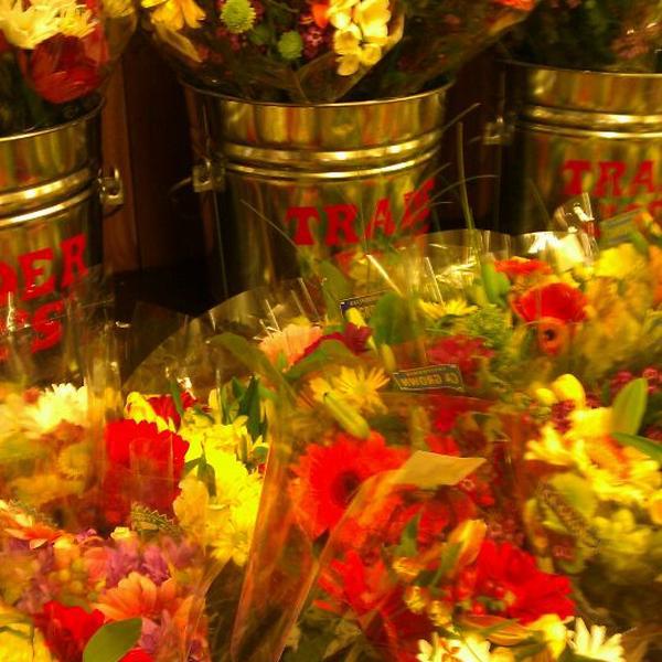 Photo taken at Trader Joe's by katie m. on 2/19/2012