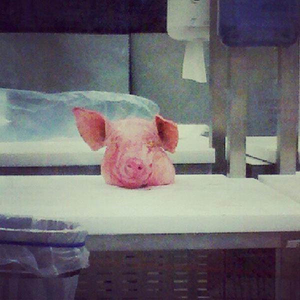 Photo taken at Iper Tosano by Erica V. on 9/17/2012