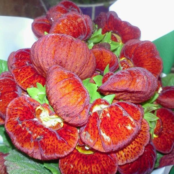 Photo taken at Trader Joe's by Audrey W. on 2/21/2012