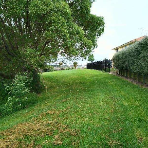 提供纽西兰海淘值得买的品牌PAK'nSAVE超市奥克兰市店图片库 提供纽西兰海淘值得买的品牌PAK'nSAVE超市奥克兰市店图片库