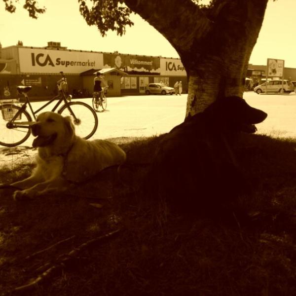 Photo taken at ICA Supermarket by Per C. on 7/18/2012