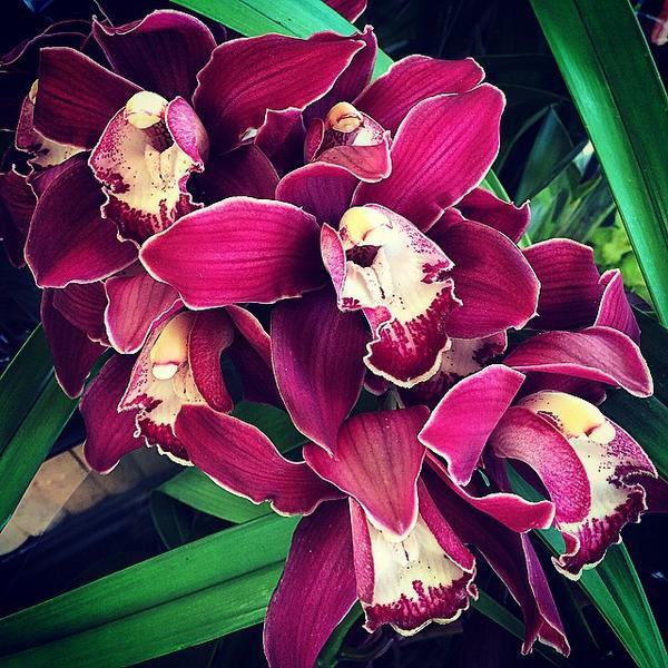 Photo taken at Trader Joe's by Louise M. on 2/19/2015