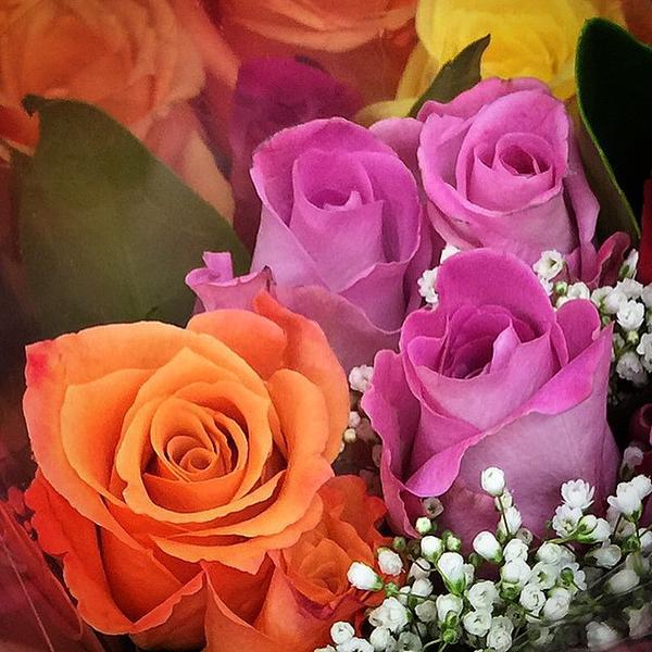 Photo taken at Trader Joe's by Louise M. on 2/18/2015