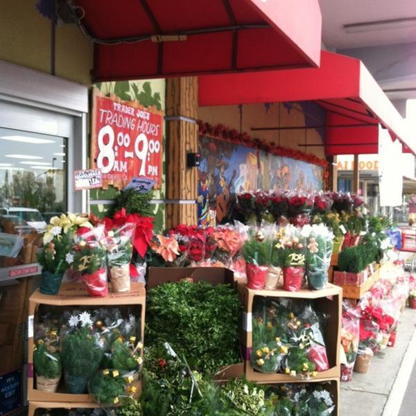 Photo taken at Trader Joe's by Michelle M. on 12/16/2012