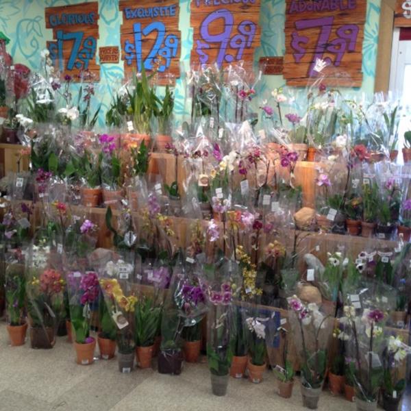 Photo taken at Trader Joe's by Takahiro Y. on 6/16/2012