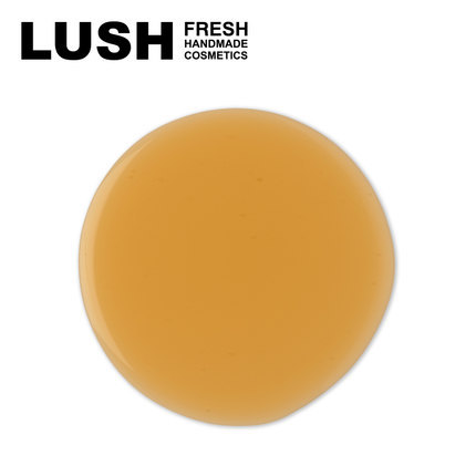 英国LUSH岚舒 正品啤啤洗发露 滋养发丝洗发水 平复毛躁温和清新