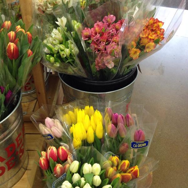 Photo taken at Trader Joe's by Rene A. on 1/27/2014-美国华盛顿州伊瑟阔吉尔曼大道西北975 Photo taken at Trader Joe's by Rene A. on 1/27/2014