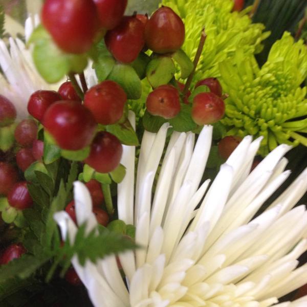 Photo taken at Trader Joe's by Lisa A. on 12/13/2014-美国伊利诺斯州橡树园哈林大道北483 Photo taken at Trader Joe's by Lisa A. on 12/13/2014