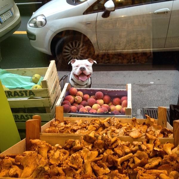 Photo taken at Interspar by Rob on 7/11/2014