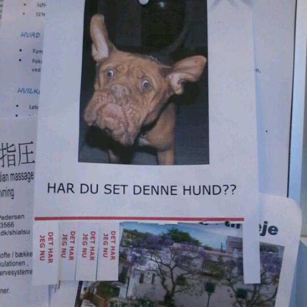 Netto 首都大区哥本哈根半广场4