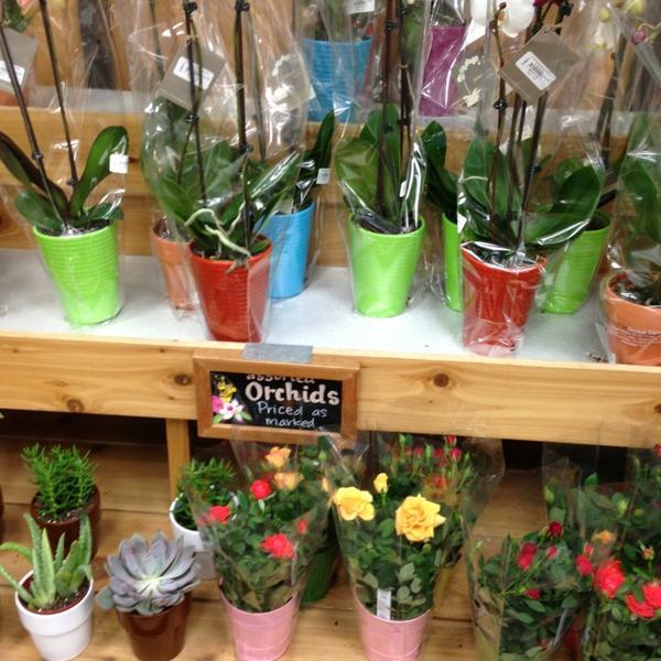 Photo taken at Trader Joe's by Jessica L. on 8/31/2013